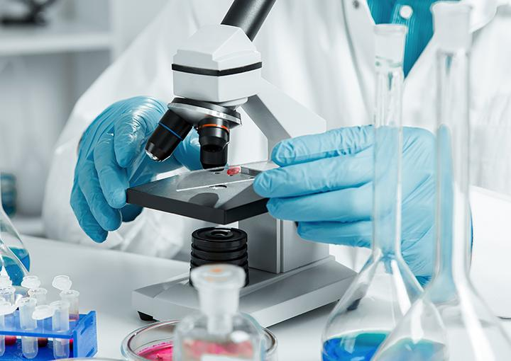 Exame laboratorial em São Paulo